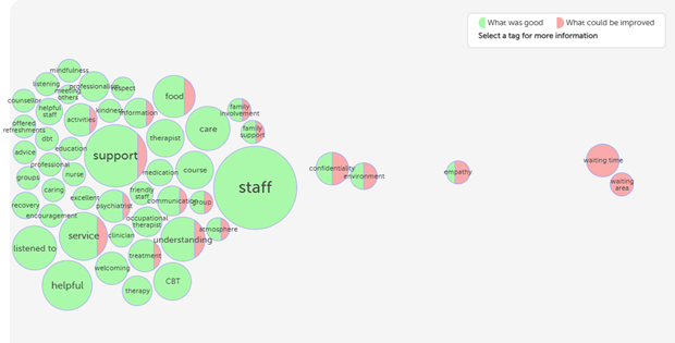 Tag bubble Visualisation for Sligo Mental Health Services